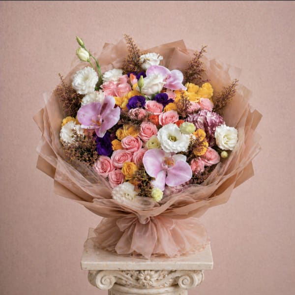 Cocoa blossom