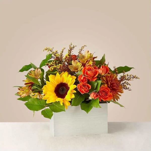 Sunflower and orange rose arrangement in a white box