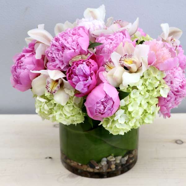 Compact arrangement of pink peonies, white orchids, and green hydrangeas in a glass cylinder vase