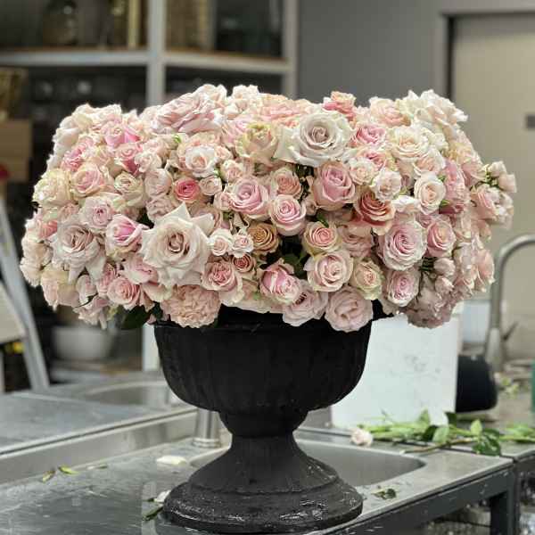 Large arrangement of pale pink and white roses in a black urn vase