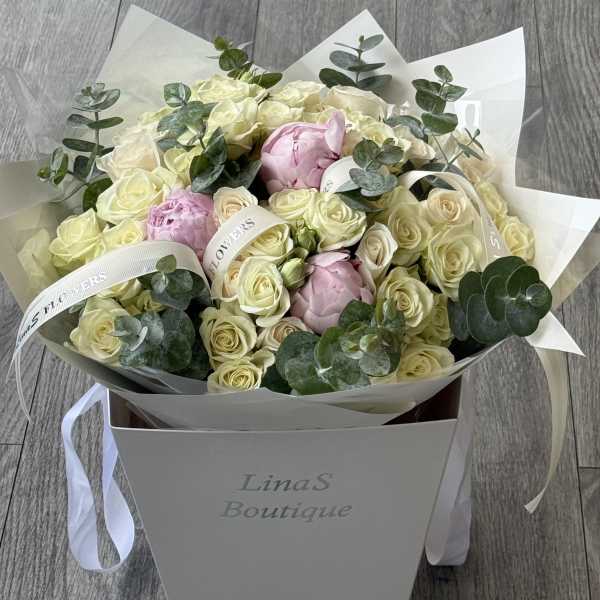Dream