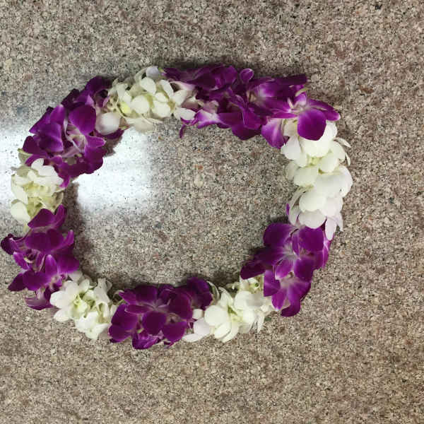 Lei 16