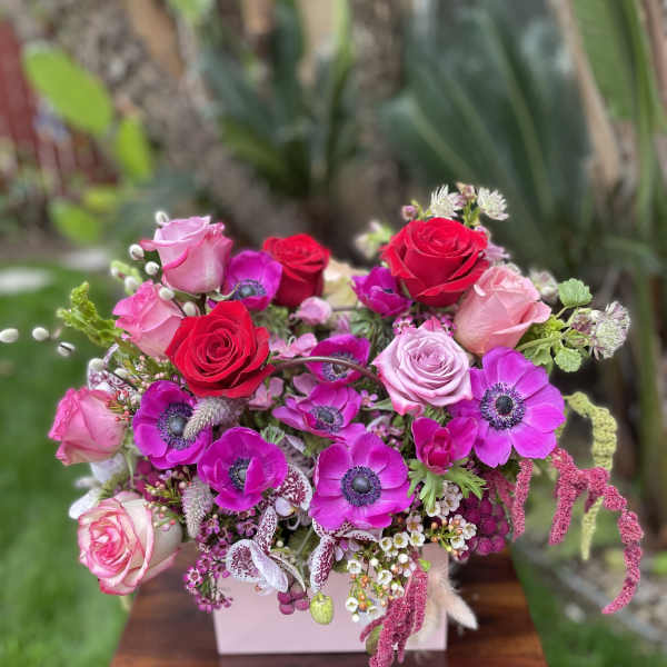 Pink and red rose bouquet with magenta anemones in a pale box