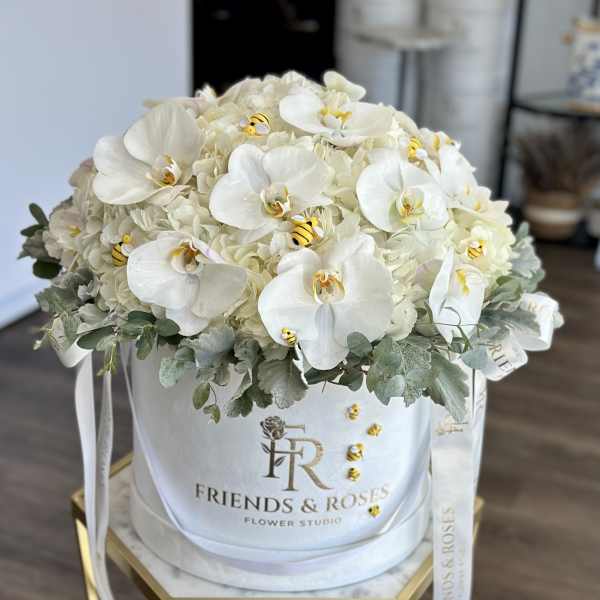 White orchids and hydrangeas in a round hatbox with ribbon