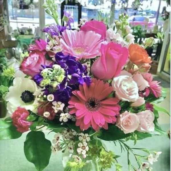 XoXo