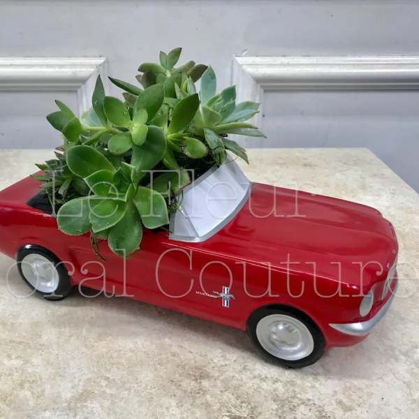 '65 Ford Mustang