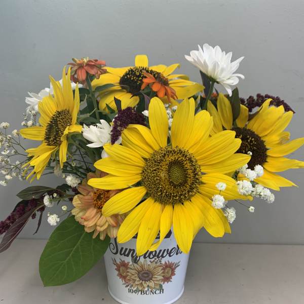 Sunflower bouquet in a white tin container with mixed accent flowers