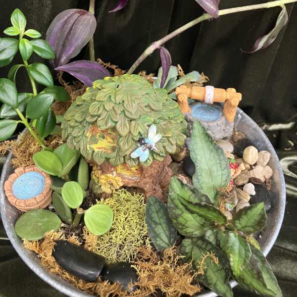 Miniature potted plant garden with assorted foliage and tiny decorative accents
