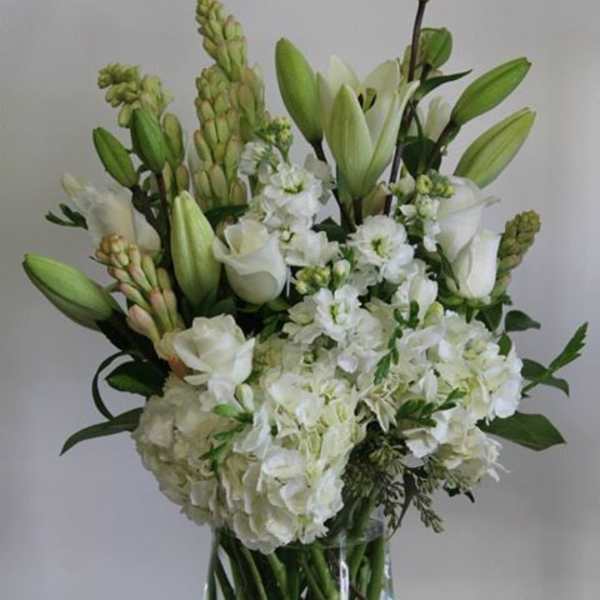Purity