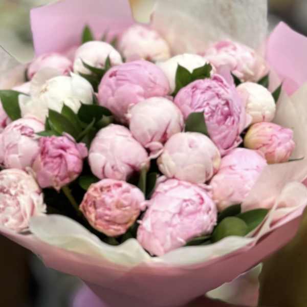 Bouquet of pink and white peonies wrapped in pink paper