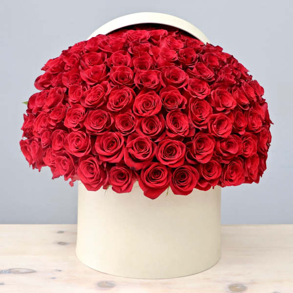 Large dome of red roses arranged in a round ivory hatbox-style container