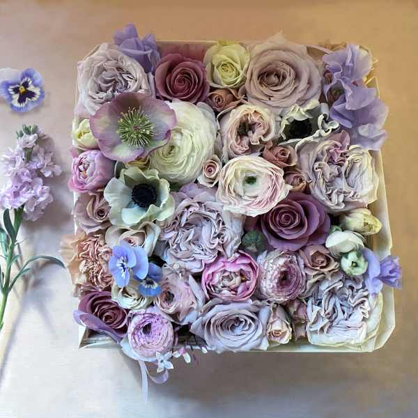 Box of pastel roses and ranunculus with small purple flowers