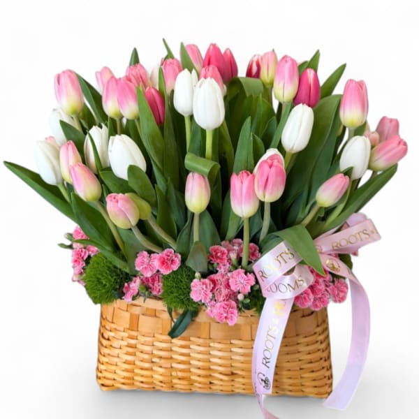 Blush Tulip Garden