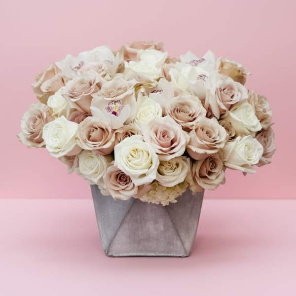 Blush Elegance