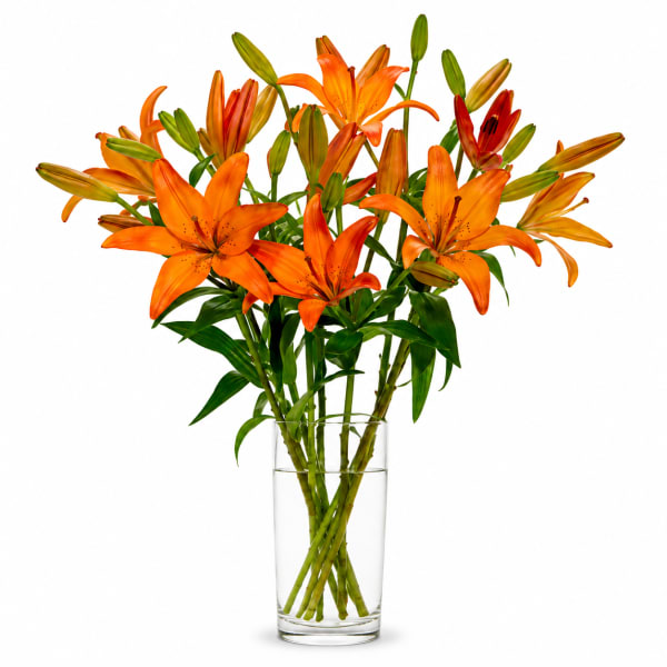 Lovely Lilies Flower