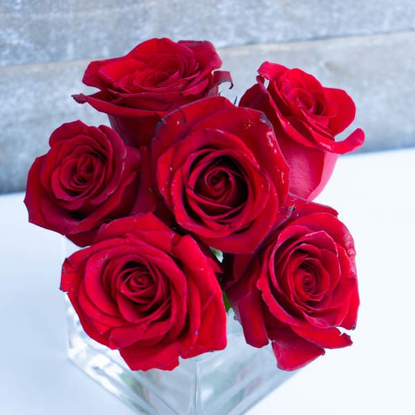 Five red roses arranged in a clear square vase