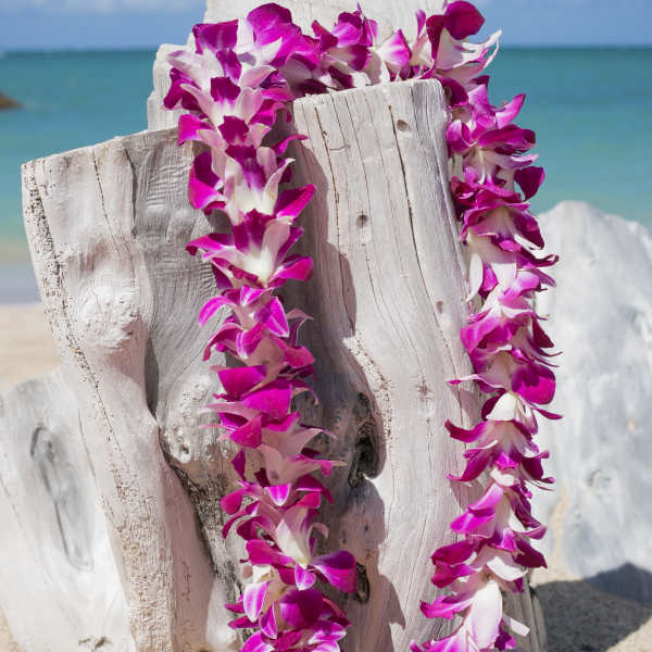 Two purple and white orchid leis draped over driftwood on a beach