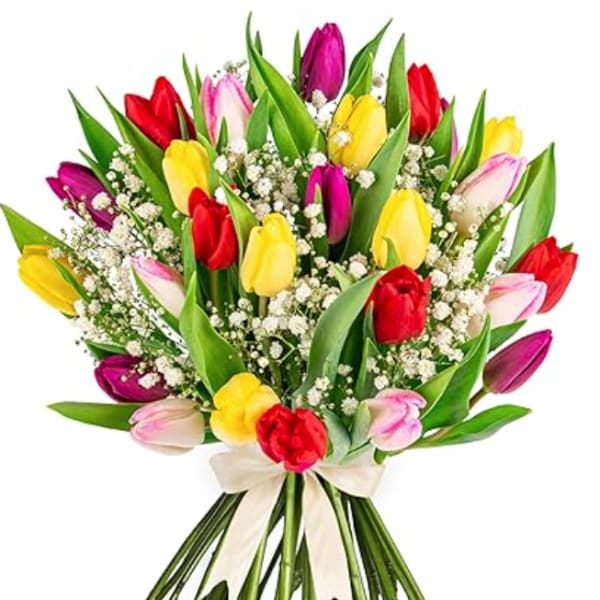 Tulips (Wrapped)