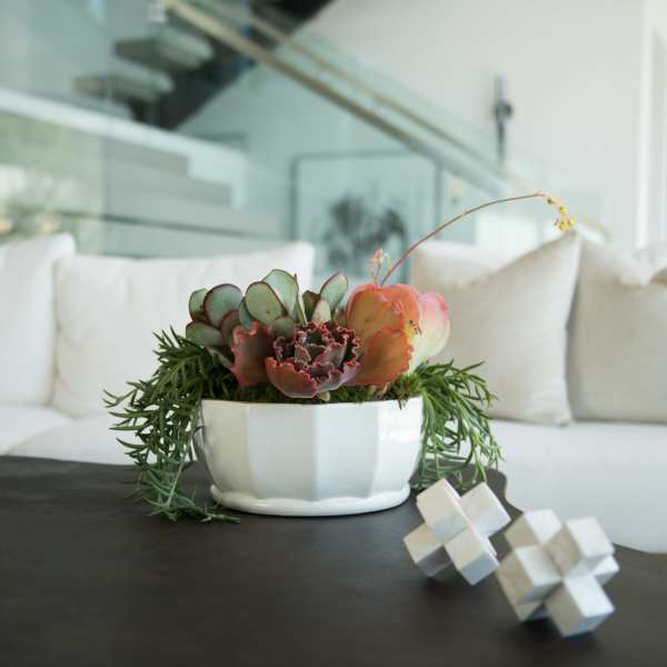 Succulent arrangement in a white ceramic bowl on a table