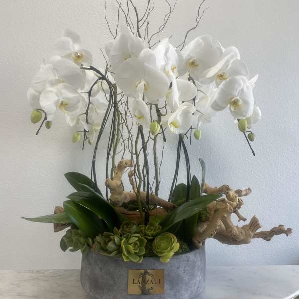 White orchids arranged in a gray planter with succulents and driftwood.