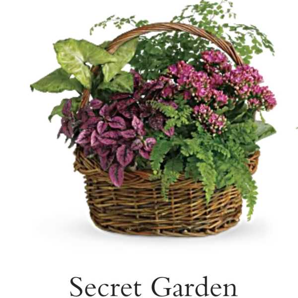 Basket of pink flowering plants and green foliage