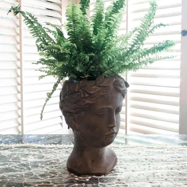 Fern arrangement in a dark sculpted bust planter