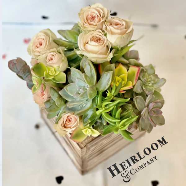 Peach roses and assorted succulents arranged in a square wooden box