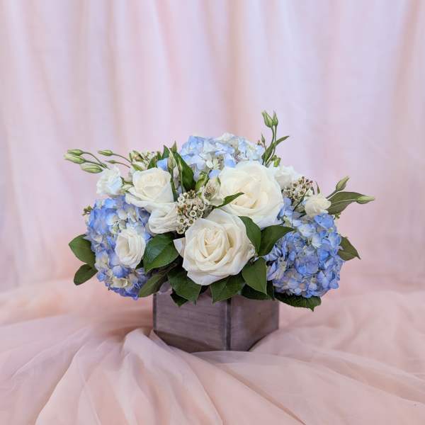 White roses and blue hydrangeas arranged in a square vase