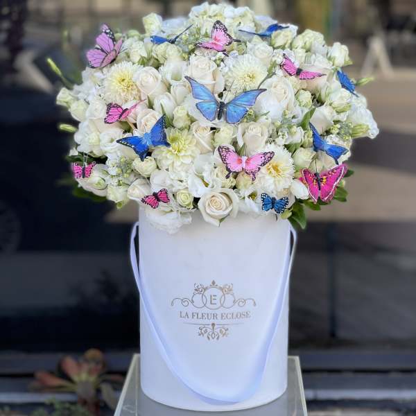 Boy or Girl