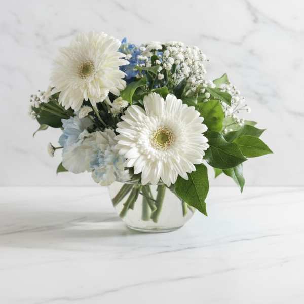 Misty Morning