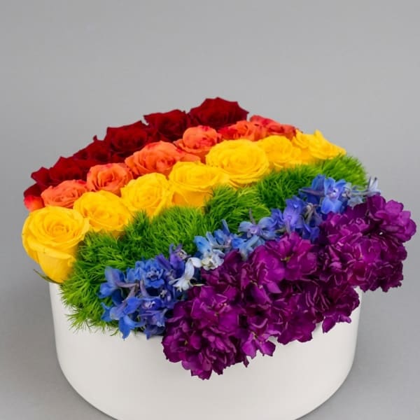LGBTQ