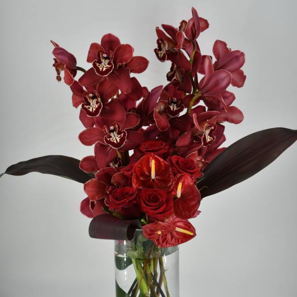 Island Passion