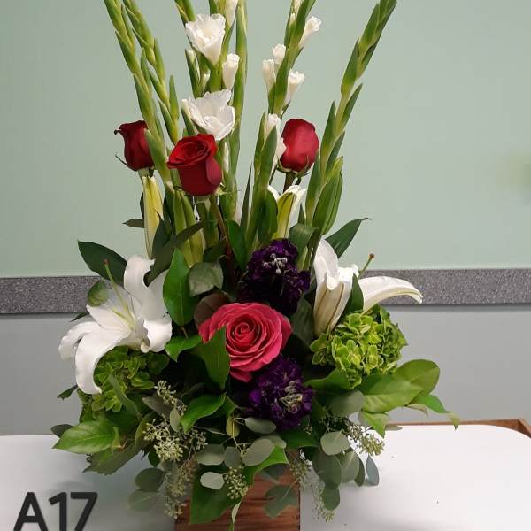 A17