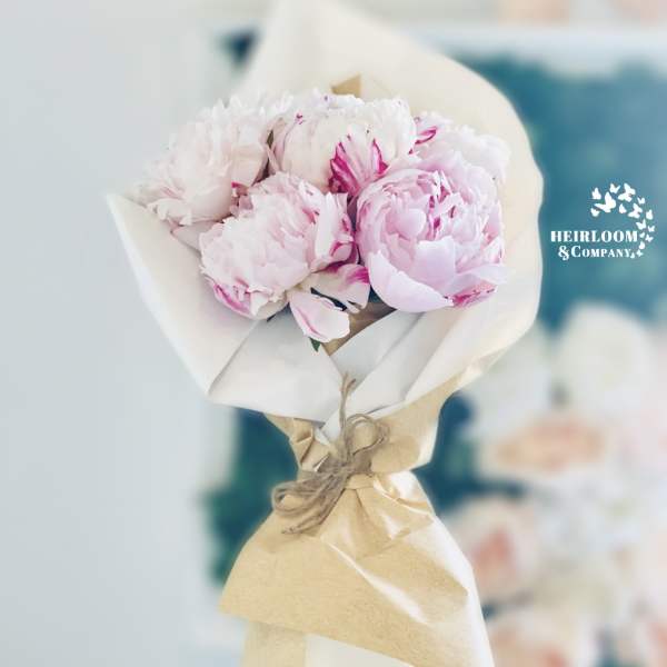 Bouquet of pale pink peonies wrapped in white and kraft paper