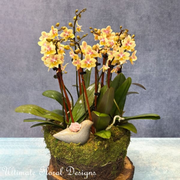 Yellow orchid arrangement in a moss-covered container with a small bird figurine