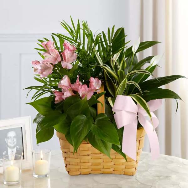 Pink flowers and green houseplants in a woven basket with a pink ribbon