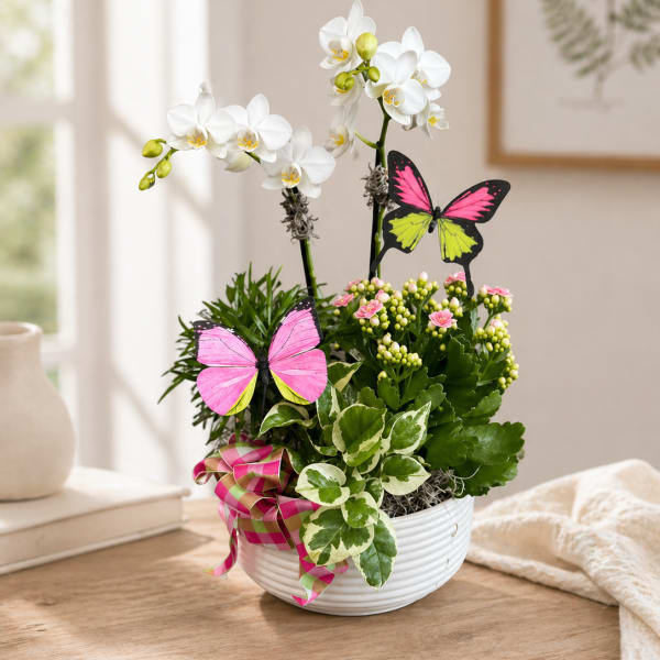 Blooms and Butterfly Garden