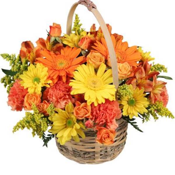 CHEERGIVER BASKET