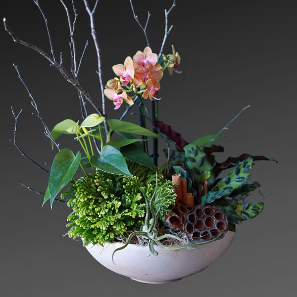 Orchid and foliage arrangement in a white bowl planter
