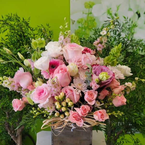 Pink Vibe