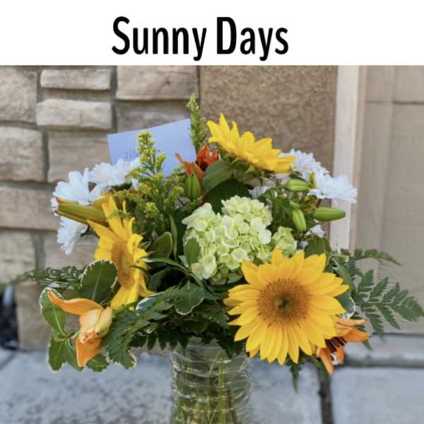 Sunny Days