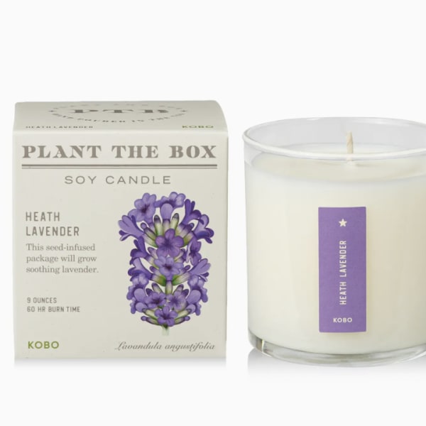 Heath Lavender - Plant the Box Candle - 9oz.