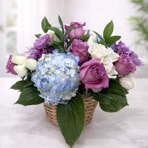Basket arrangement of pink and white roses with blue hydrangea
