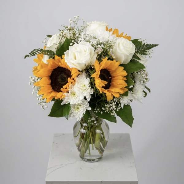 The Sunburst Classic