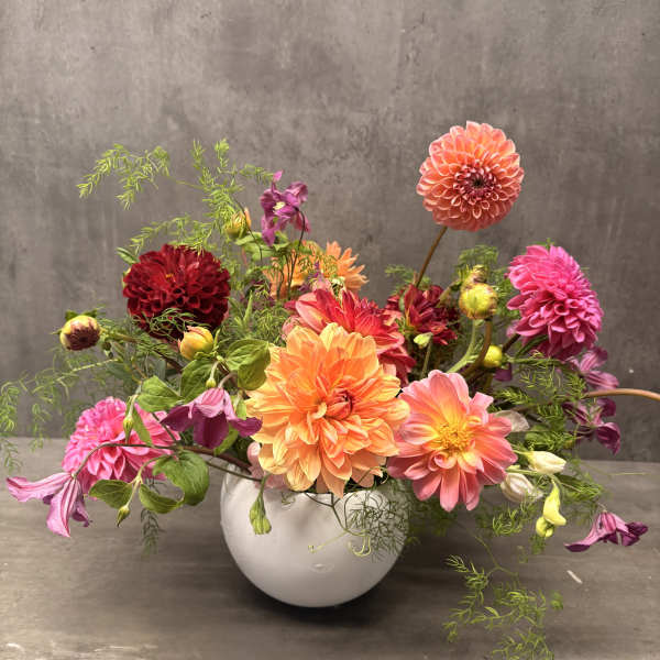 Colorful dahlia arrangement in a white vase