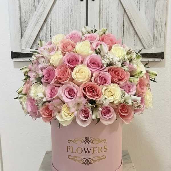Blush & Bloom