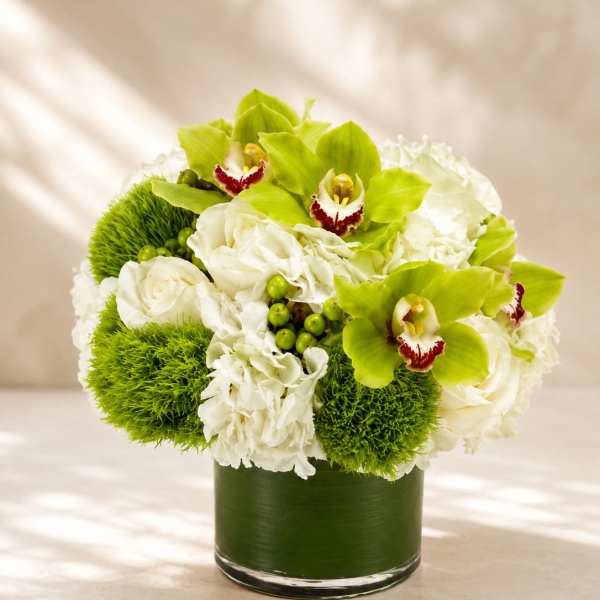 Emerald Orchid Luxe