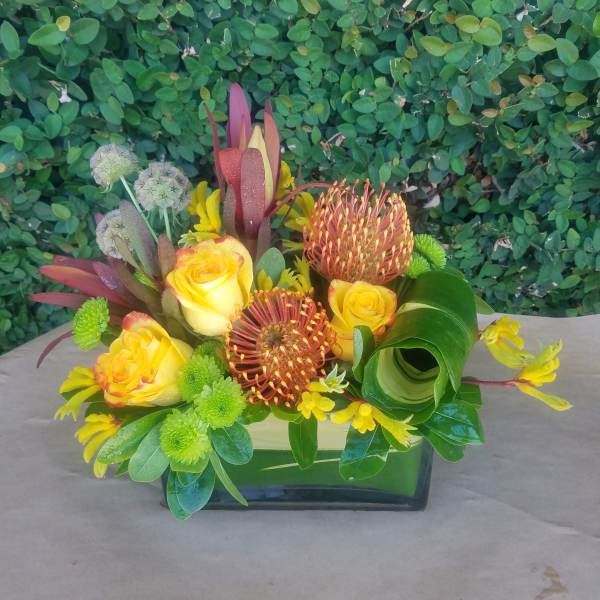 Yellow roses and orange pincushion protea in a low rectangular vase
