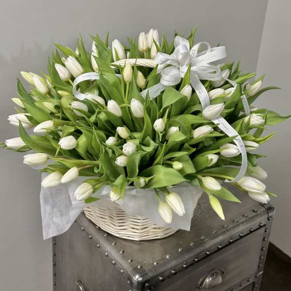Basket of white tulips with white ribbon