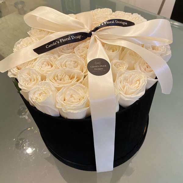 Cream roses arranged in a black round box with a white ribbon bow